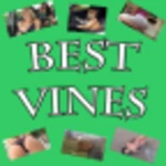 best vines video android application logo